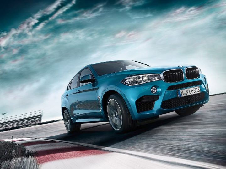 Bmw x6 m india official pics 3