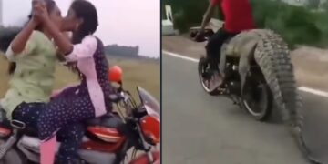 4 Videos of Bizarre Indian Bikers