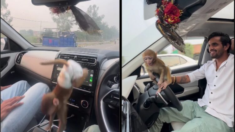 Hyundai Creta Owner Drives with Monkey on Lap