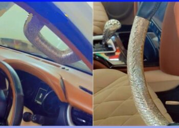 Toyota Fortuner with Silver Steering Wheel Cover, Gear Knob and Grab Handle