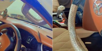 Toyota Fortuner with Silver Steering Wheel Cover, Gear Knob and Grab Handle