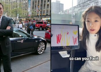 Chinese Girl Asks Elon Musk to Fix Tesla Screen