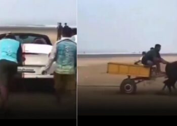 Ferrari California Stuck on Beach, Rescued by Bullock Cart